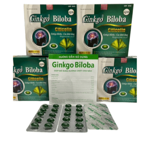 Ginko Biloba Citicoline Q10 Mediusa  (Hộp/100V)