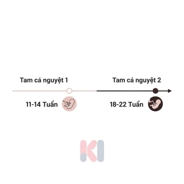 Thời điểm siêu âm soft markers theo tam cá nguyệt.