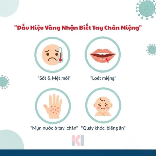 infographic 4 dấu hiệu nhận biết bệnh tay chân miệng ở trẻ