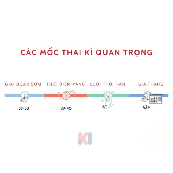 Infographic các mốc thai kỳ quan trọng - thời điểm sinh con đủ tháng lý tưởng nhất.