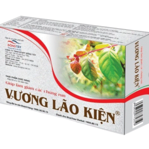 Vuong Lao Kien